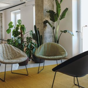 Cojín de asiento de quita y pon