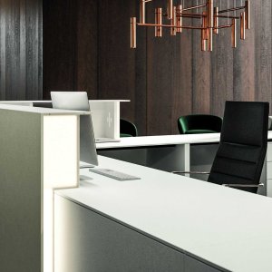 Nivel de entrega a 111 cm del mostrador Lux