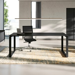 Elemento 30° de los muebles de servicio Loft