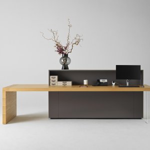 Top de gres pietra piasentina en un mueble Kyo