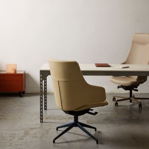 Ruedas especiales abiertas del sillón Italia
