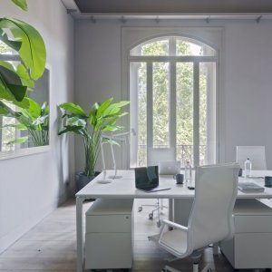 Ruedas autofrenantes bajo el sillón de dirección Nulite