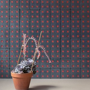 Muro Bloc Blue Glossy con insertos Tube rojos