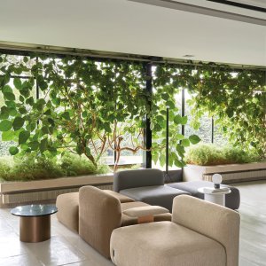 Reposabrazos de madera lacada de One Hundred con pad en nogal