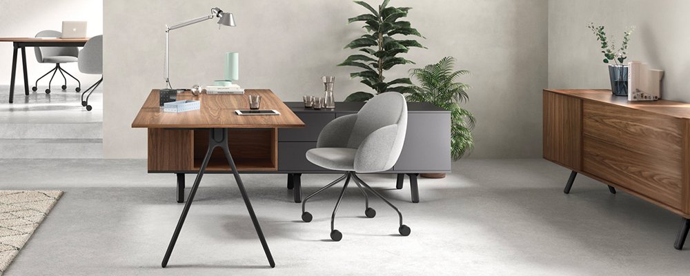 Escritorio con ala y credenza